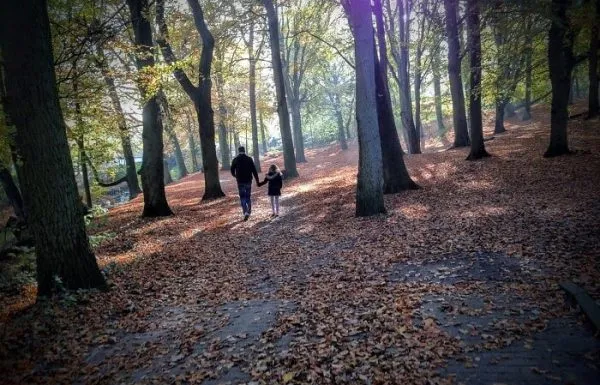 טיול לאמסטרדם – 5 אטרקציות שאסור לפספס!